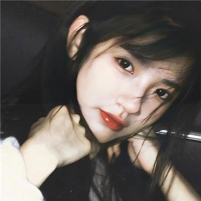 玫瑰于灰烬中重绽